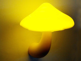 包邮正品 阿凡达蘑菇小夜灯 宝宝喂奶壁灯 LED节能灯光控小台灯