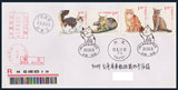 2013-17猫特种邮票 雕刻版邮票首日实寄封 动物生肖邮票集邮收藏