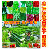 四季播种20种蔬菜种子套餐西红柿青菜水果新手阳台盆栽包邮送肥料