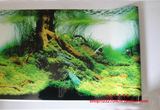 鱼缸水族箱造景装饰 单面背景纸 壁纸 壁画背景画 树根60*10厘米