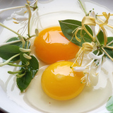 白马山芦花（金银花）土鸡蛋有机柴鸡孕妇宝宝初生月子蛋30枚特价