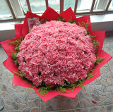 粉色康乃馨花束生日鲜花西安兰州成都重庆郑州花店同城速递送鲜花