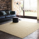 简约现代客厅地毯茶几地毯卧室满铺地毯婚房加厚床边毯地垫可定做