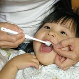 【2只包邮】日本蒲公英儿童牙刷360度STB婴幼儿0-3岁以上1-2-4-6