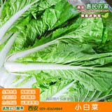 【惠民万家】新鲜蔬菜小白菜青菜1斤 西安三环内送货到家