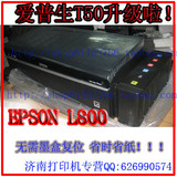 打印世佳EPSON L800照片打印机 爱普生L800 /T50 升级片 L800