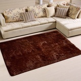 加厚丝毛纯色可水洗地毯客厅卧室茶几床边毯 满铺特价可定做
