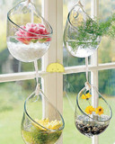 欧式 悬挂玻璃花瓶 壁挂花瓶 多肉植物花瓶 透明圆形水培吊瓶拉尖