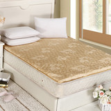 床垫 椰棕垫 外套可拆卸/折叠型 家庭床垫 冷暖两用床垫 学生床垫