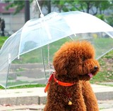 宠物用品宠物雨伞 泰迪比熊小型犬小狗宠物雨衣雨披用品 带狗链子