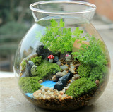 苔藓微景观生态瓶 宫崎骏龙猫公仔摆件 创意迷你小品植物 苔藓diy