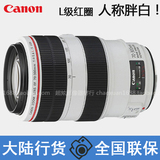 全新 佳能 EF 70-300mm f/4-5.6L IS USM红圈镜头70-300胖白 单反
