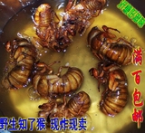 舌尖2上美食沂蒙野生知了猴人间唐僧肉土特产美食好吃3件包邮