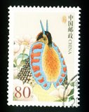 普R31，2002年中国鸟普票80分面值信销邮票1枚邮戳不同