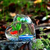 创意斗鱼迷你小型多肉水培植物透明玻璃缸花瓶金鱼缸墙壁壁挂悬挂