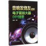 音响发烧友进阶——电子管放大器DIY精要 畅销书籍 正版 家电维修音响发烧友进阶电子管放大器DIY精要