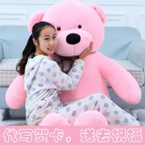 熊猫公仔玩偶布娃娃可爱超大号毛绒玩具泰迪熊抱抱熊1.8大熊1.6米