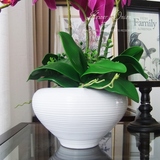 圆形白色陶瓷高花瓶 插花现代简约装饰品摆件家居客厅白瓷