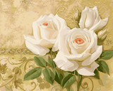 斐兰朵 diy手绘数字油画特价包邮爱情客厅卧室装饰花卉纯色浪漫