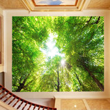 清新田园树林风景大型壁画3d立体墙纸客厅吊顶天花板顶棚背景壁纸