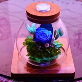 蓝色妖姬永生花玻璃罩许愿瓶玫瑰保鲜花干花七夕情人节送女友礼物
