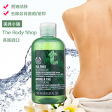 正品THE BODY SHOP茶树沐浴露沐浴乳 背部祛痘去痘印痘痘