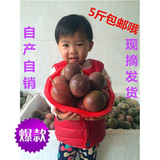 正宗广西特产百香果西番莲鸡蛋果孕妇水果美容全国多地区5斤包邮