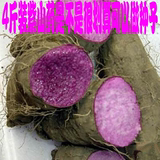 农家新鲜蔬菜 紫山药 紫淮山 脚板薯 有机蔬菜4斤装包邮