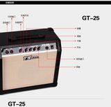 TS唐声牌25W木吉他音箱 双插电吉他音箱 电箱吉他GT-25