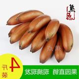 【蕉点 周年庆】新鲜水果土楼红皮香蕉 4斤包邮果园直销 玫瑰蕉