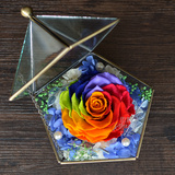 思慕绝色 巨型厄瓜多尔彩虹七彩玫瑰永生花玻璃罩礼盒  生日礼物