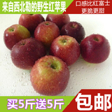 云南水果蒙自西北勒山里红甜苹果好吃的野生丑苹果新鲜5斤装包邮