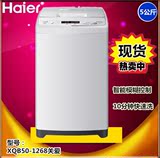 Haier/海尔XQB50-M1268 关爱（小神童）/5kg全自动波轮洗衣机正品