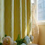 戴梦薇宜家客厅窗帘田园涤棉鲁绣布料成品窗帘定制黄绿色清新大气