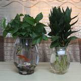 包免邮透明玻璃花瓶水培绿萝玻璃金鱼缸乌龟缸恐龙蛋餐桌简约现代