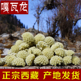 嘎瓦龙 西藏 野生 特级 绿萝花茶 1斤 2016新货 买一送一 包邮