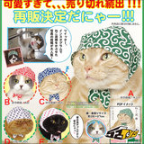 [52TOYS]奇谭 扭蛋 小偷猫 头巾 专属 猫咪的帽子 宠物 装饰 现货