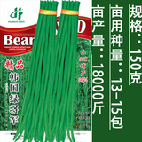 寿光蔬菜种子 精品绿将军 青条豆角豇豆种子150g