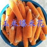 承德特产 苞米花有机玉米棒子小食品爆米花专用原料 刺棒子玉米粒