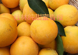 广西桂林蜜香橙新品冰糖橙真正纯甜埃及糖橙非脐橙褚橙7斤包邮