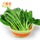 东升品质保证广东绿色菜心 新鲜青菜花 菜薹 广州蔬菜配送(300g)