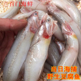 三百门海捕野生新鲜豆腐鱼龙头鱼龙头烤 一斤4-5条内