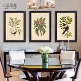 地上的鸽子美式乡村客厅沙发背景墙小清新植物花卉三联现代装饰画