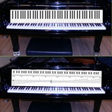 88键标准钢琴键盘图五线谱对照图 仿真学钢琴纸键盘练指法挂图