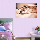A餐厅壁画书房挂画单幅电表箱墙画卧室装饰画床头无框画可爱猫咪
