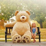 包邮正品美国大熊costco超大巨型熊 2米4泰迪熊 拥抱熊情人节礼物