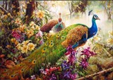 新品包邮数字油画40*50超美孔雀DIY手绘中国风花鸟大幅客厅装饰画