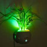 创意光控感应LED七彩小夜灯绿色植物盆栽 夜光节能插电起夜床头灯