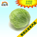 彩虹雨 北京农场配送 新鲜有机蔬菜圆白菜750g  京津冀满百包邮