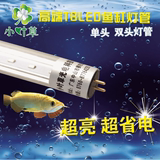 T8LED灯管黄蓝白粉红光管鱼缸照明水草水族箱日光灯植物生长补光